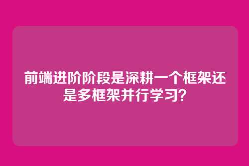 前端进阶阶段是深耕一个框架还是多框架并行学习？
