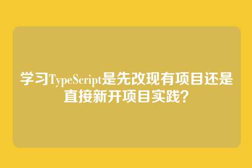 学习TypeScript是先改现有项目还是直接新开项目实践?