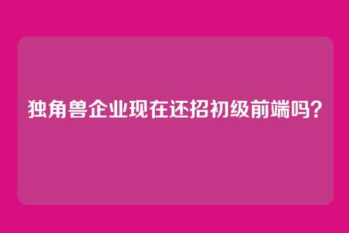 独角兽企业现在还招初级前端吗?
