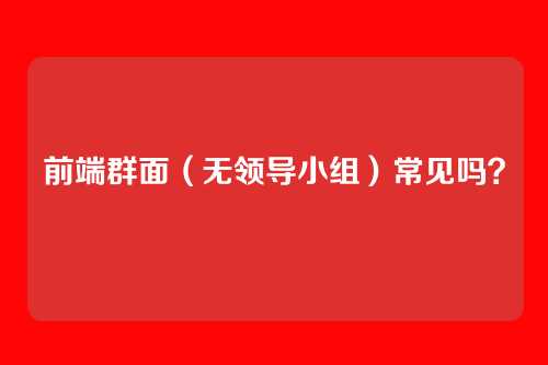 前端群面(无领导小组)常见吗?