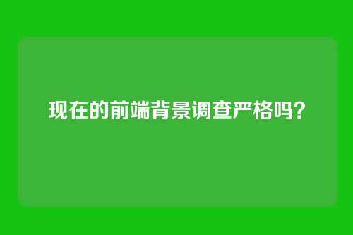 现在的前端背景调查严格吗?
