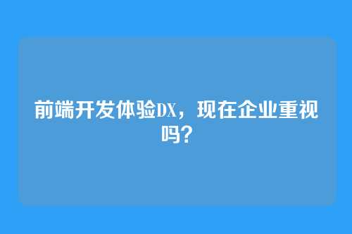 前端开发体验DX，现在企业重视吗？