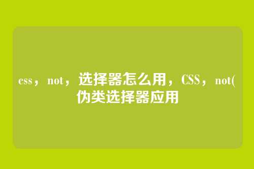 css，not，选择器怎么用，CSS，not(伪类选择器应用