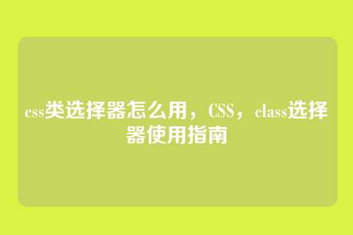 css类选择器怎么用，CSS，class选择器使用指南