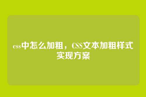 css中怎么加粗，CSS文本加粗样式实现方案