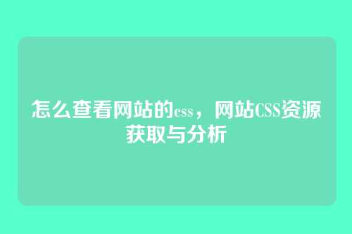 怎么查看网站的css，网站CSS资源获取与分析