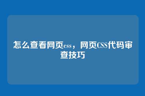怎么查看网页css，网页CSS代码审查技巧