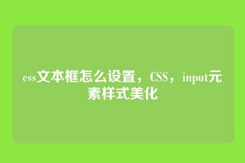 css文本框怎么设置，CSS，input元素样式美化