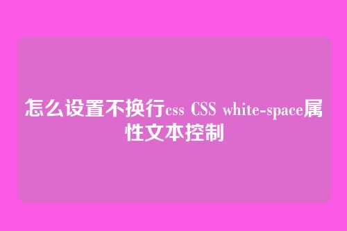 怎么设置不换行css CSS white-space属性文本控制