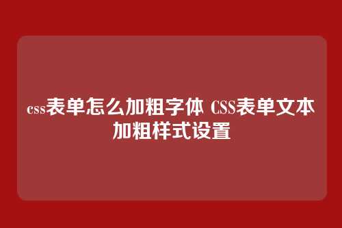 css表单怎么加粗字体 CSS表单文本加粗样式设置