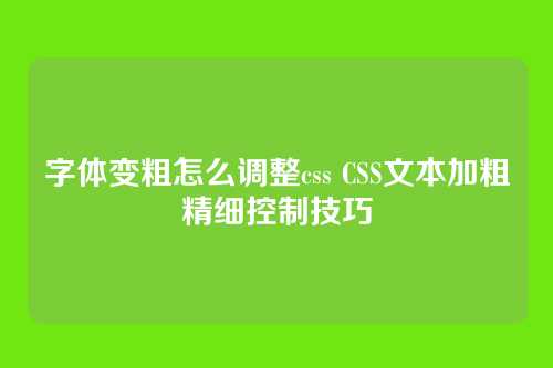 字体变粗怎么调整css CSS文本加粗精细控制技巧