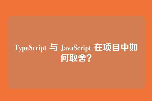 TypeScript 与 JavaScript 在项目中如何取舍？