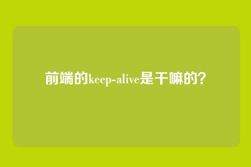 前端的keep-alive是干嘛的?