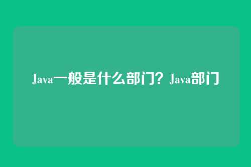 Java一般是什么部门?Java部门