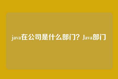 java在公司是什么部门?Java部门