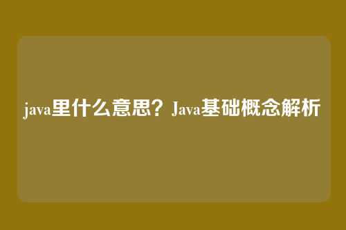 java里什么意思？Java基础概念解析