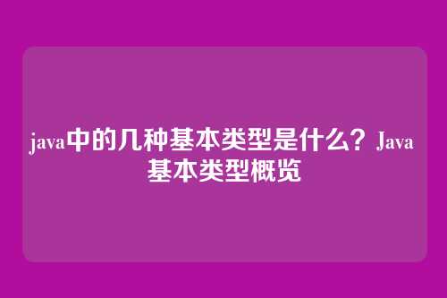java中的几种基本类型是什么？Java基本类型概览