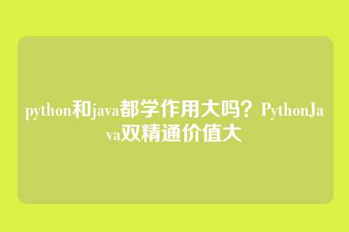 python和java都学作用大吗?PythonJava双精通价值大