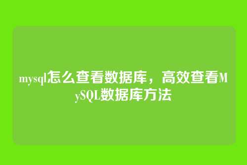 mysql怎么查看数据库,高效查看MySQL数据库方法