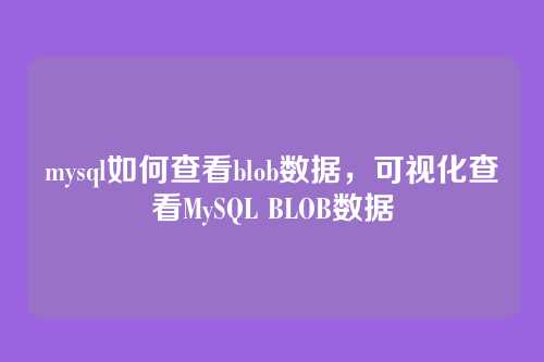 mysql如何查看blob数据,可视化查看MySQL BLOB数据