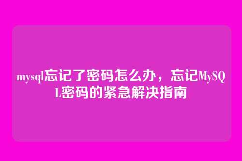 mysql忘记了密码怎么办,忘记MySQL密码的紧急解决指南