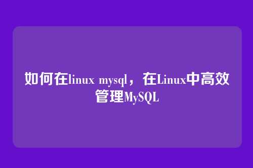 如何在linux mysql,在Linux中高效管理MySQL