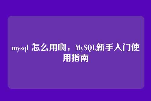 mysql 怎么用啊,MySQL新手入门使用指南