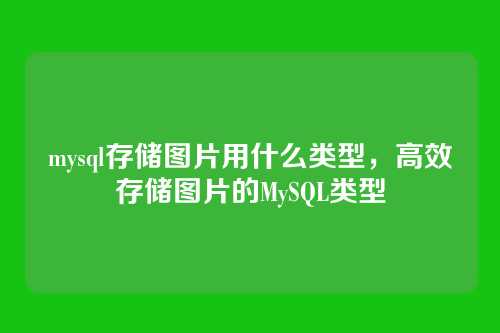 mysql存储图片用什么类型,高效存储图片的MySQL类型