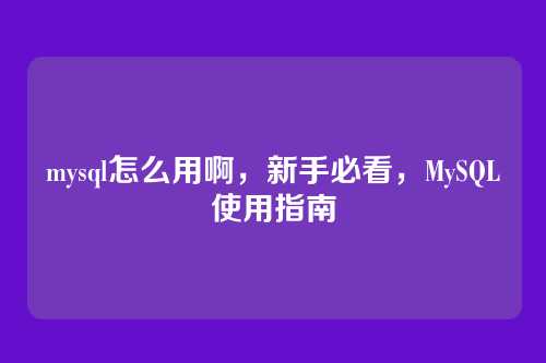 mysql怎么用啊,新手必看,MySQL使用指南