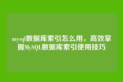 mysql数据库索引怎么用,高效掌握MySQL数据库索引使用技巧