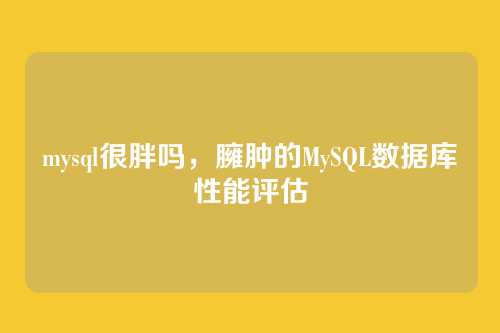 mysql很胖吗,臃肿的MySQL数据库性能评估