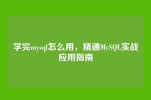 学完mysql怎么用,精通MySQL实战应用指南