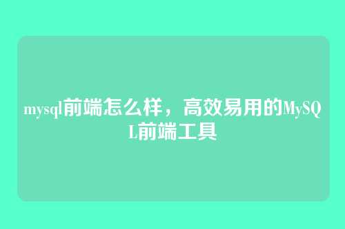 mysql前端怎么样,高效易用的MySQL前端工具