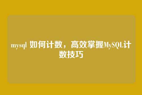 mysql 如何计数,高效掌握MySQL计数技巧