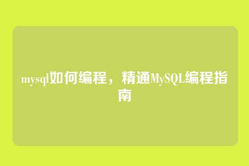 mysql如何编程，精通MySQL编程指南