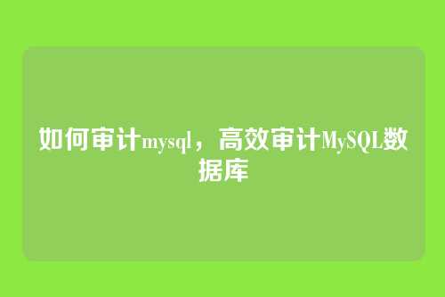 如何审计mysql，高效审计MySQL数据库