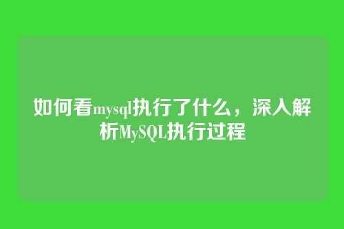 如何看mysql执行了什么，深入解析MySQL执行过程