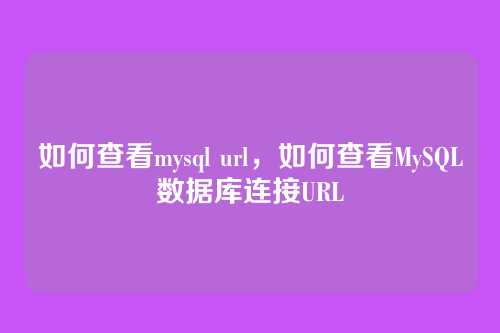 如何查看mysql url，如何查看MySQL数据库连接URL