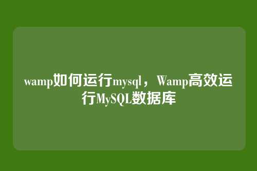 wamp如何运行mysql，Wamp高效运行MySQL数据库