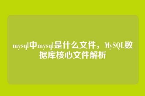mysql中mysql是什么文件，MySQL数据库核心文件解析