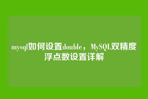 mysql如何设置double,MySQL双精度浮点数设置详解