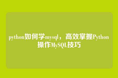 python如何学mysql,高效掌握Python操作MySQL技巧