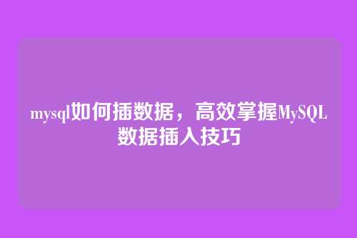 mysql如何插数据,高效掌握MySQL数据插入技巧