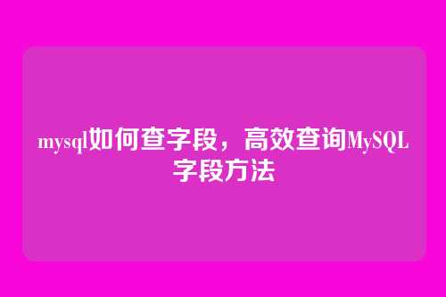 mysql如何查字段,高效查询MySQL字段方法