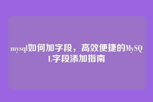 mysql如何加字段,高效便捷的MySQL字段添加指南