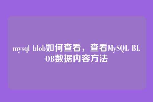 mysql blob如何查看,查看MySQL BLOB数据内容方法