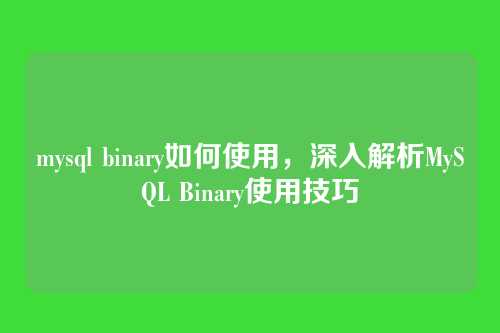 mysql binary如何使用，深入解析MySQL Binary使用技巧