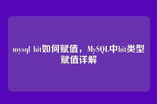 mysql bit如何赋值,MySQL中bit类型赋值详解