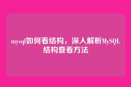 mysql如何看结构,深入解析MySQL结构查看方法