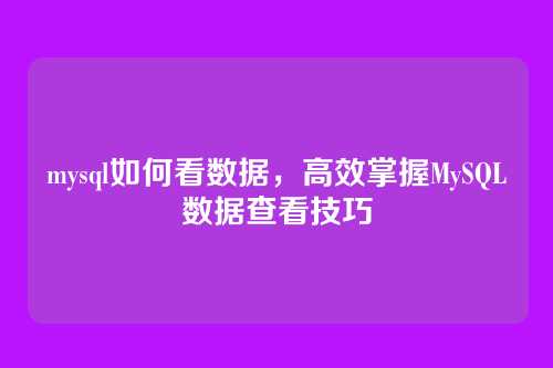 mysql如何看数据,高效掌握MySQL数据查看技巧
